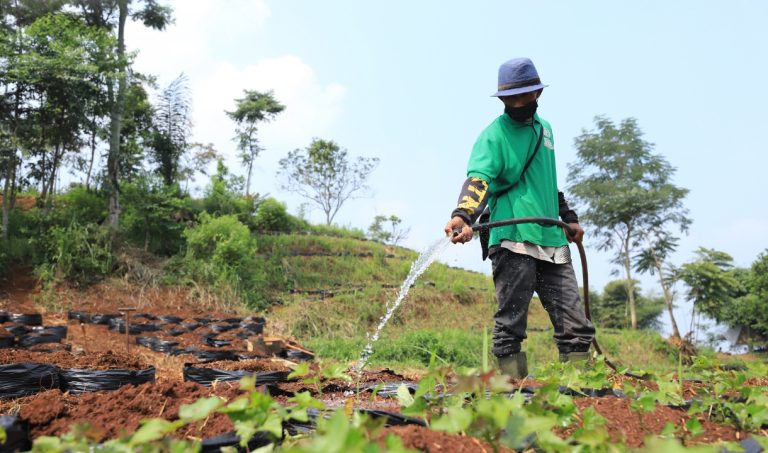 Plano de Saúde para Agronomia Como Escolher a Melhor Opção e Fazer a Cotação